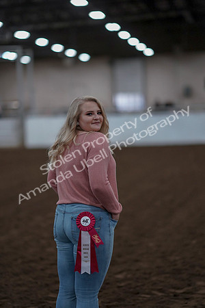 2019 Morgan Horse Show - Sept 01, 2019 - 12151