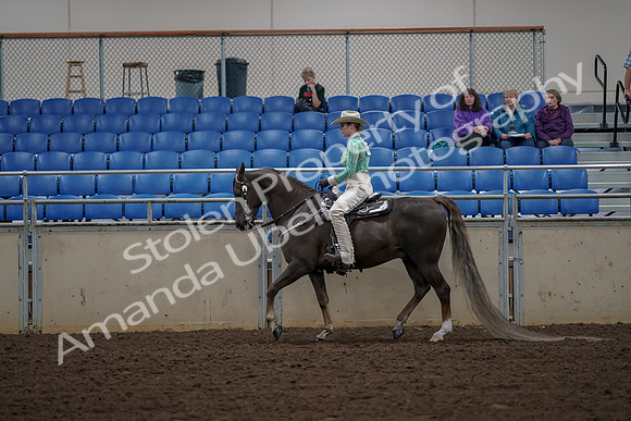 2019 Morgan Horse Show - Aug 30, 2019 - 25961