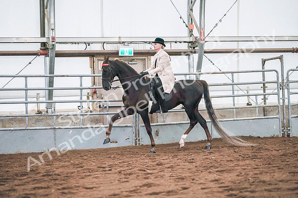 July 20, 2019 - 20797