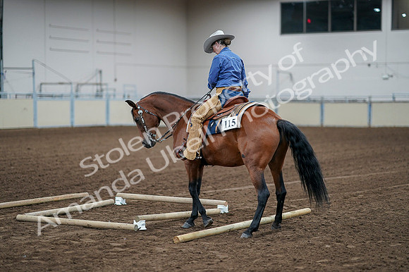 2020 - AB Morgan Horse - Fri, Sept 04 - 00278