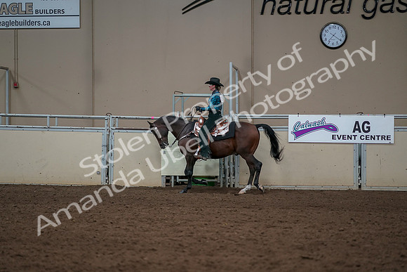 2019 Morgan Horse Show - Aug 30, 2019 - 26037