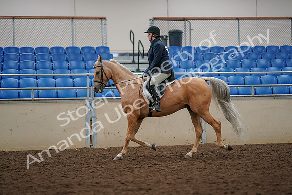 2019 Morgan Horse Show - Aug 30, 2019 - 22288