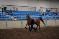 2019 Morgan Horse Show - Aug 31, 2019 - 00541