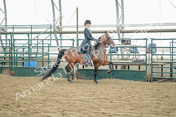 July 21, 2019 - 12234