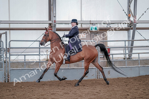 July 20, 2019 - 13776