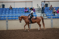 2019 Morgan Horse Show - Aug 30, 2019 - 25881