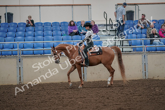 2019 Morgan Horse Show - Aug 30, 2019 - 25881
