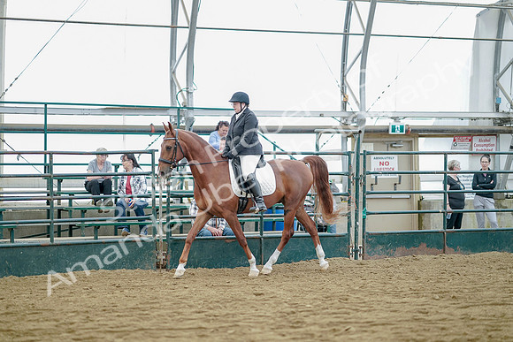 July 21, 2019 - 09595