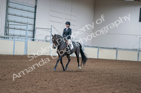 2020 - AB Morgan Horse - Fri, Sept 04 - 06148