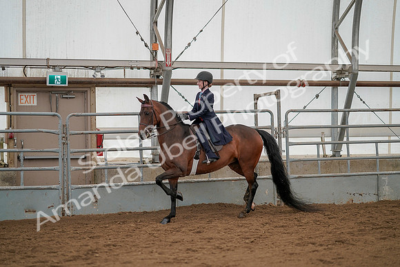 July 20, 2019 - 03602