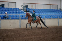 2019 Morgan Horse Show - Sept 01, 2019 - 13156