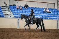 2020 - AB Morgan Horse - Sat, Sept 05 - 08869