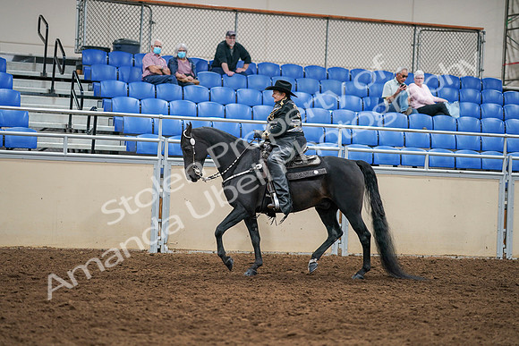 2020 - AB Morgan Horse - Sat, Sept 05 - 08869