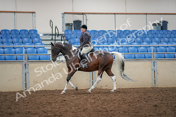 2019 Morgan Horse Show - Aug 30, 2019 - 22325