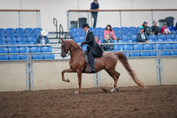 2019 Morgan Horse Show - Aug 31, 2019 - 12180