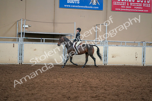 2019 Morgan Horse Show - Aug 30, 2019 - 12206