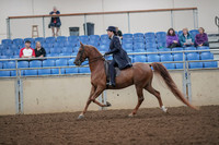 2019 Morgan Horse Show - Aug 30, 2019 - 26779