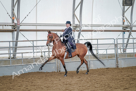July 20, 2019 - 13683