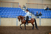 128 Morgan West Pl Amateur