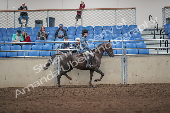 2019 Morgan Horse Show - Aug 31, 2019 - 07415