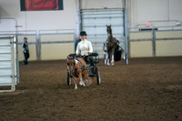 094 - All Breed Pl Driving - Amateur
