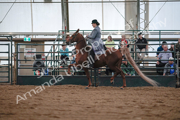 July 20, 2019 - 17040