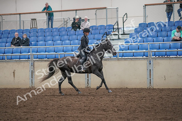 2019 Morgan Horse Show - Aug 31, 2019 - 07542
