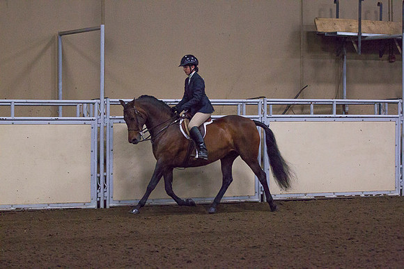 _P3A4104