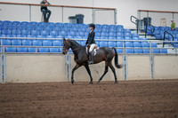 2019 Morgan Horse Show - Sept 01, 2019 - 03648