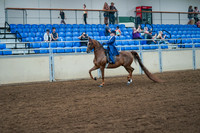 046 - ALL BREEDS WALK-TROT SADDLESEAT EQUITATION 11 YRS &UNDER