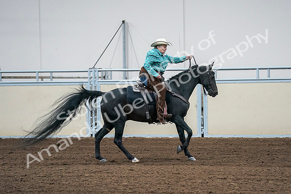 2020 - AB Morgan Horse - Fri, Sept 04 - 00485