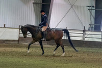 322 - HA Sport Horse Under Saddle