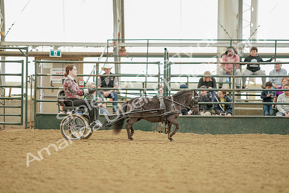 July 21, 2019 - 09591