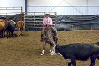 Herd Work - Open Bridle