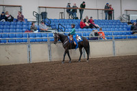 2019 Morgan Horse Show - Aug 31, 2019 - 16296