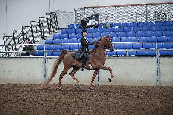 Spring Fling - Saturday - April 20, 2019  -  00557