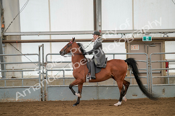 July 20, 2019 - 02053