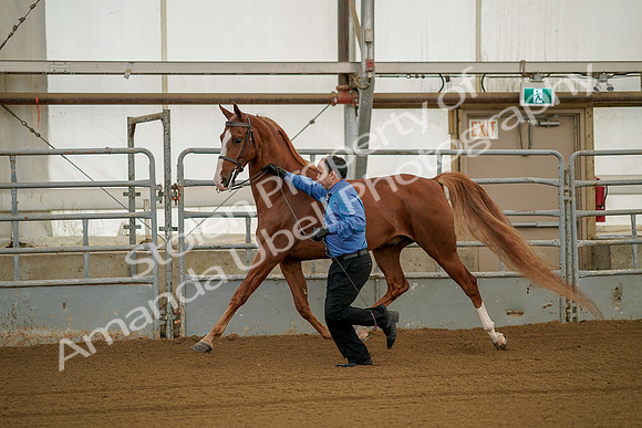 July 19, 2019 - 42
