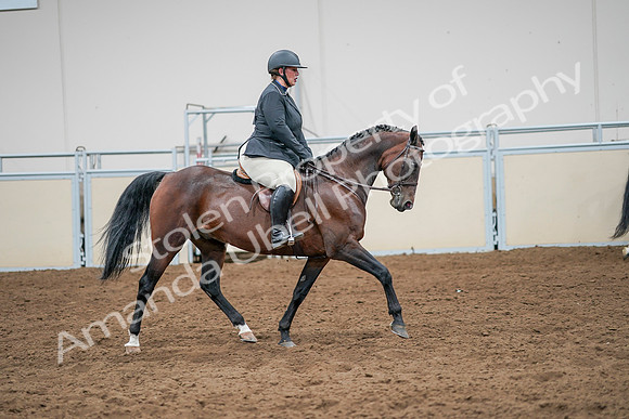 2020 - AB Morgan Horse - Sat, Sept 05 - 14558