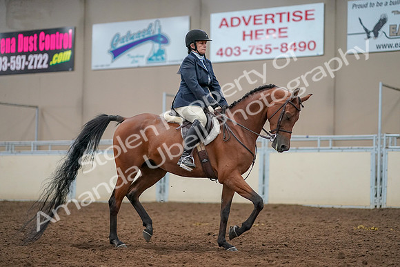 2019 Morgan Horse Show - Aug 30, 2019 - 22599