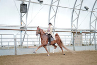 Class 108 - ASB Five-Gaited - Amateur Stake
