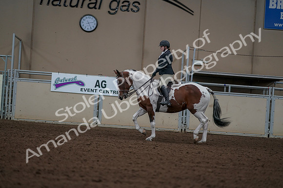 2019 Morgan Horse Show - Aug 30, 2019 - 14912