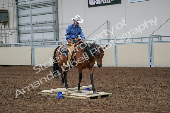 2020 - AB Morgan Horse - Fri, Sept 04 - 00239
