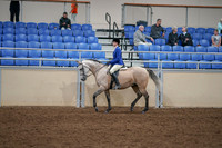 2020 - AB Morgan Horse - Fri, Sept 04 - 10344