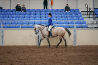 2020 - AB Morgan Horse - Fri, Sept 04 - 10346