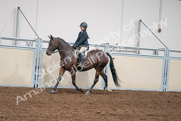 2020 - AB Morgan Horse - Sat, Sept 05 - 04966