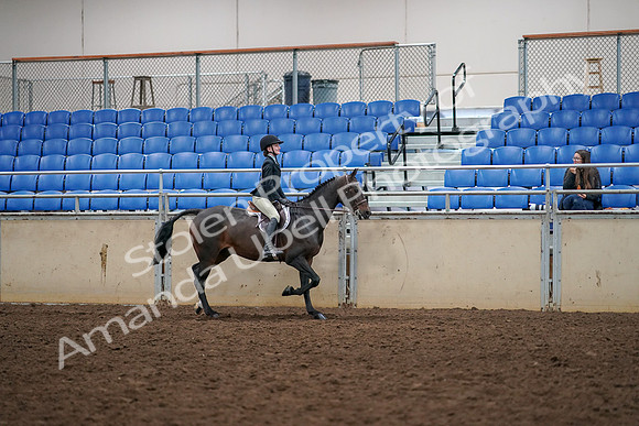 2019 Morgan Horse Show - Aug 30, 2019 - 12421