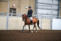111 Western Canadian All Breed Hunt Seat Eq Championship
