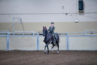 108 All Breeds Saddle Seat Eq 11-13 yrs