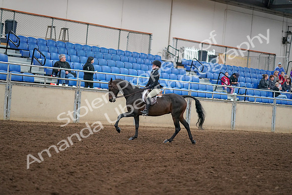 2019 Morgan Horse Show - Aug 30, 2019 - 12293